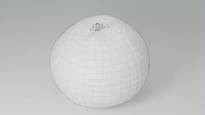 Realistic Orange Fruit Low-poly 3D model 7