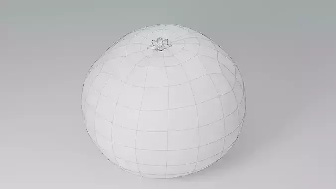 Realistic Orange Fruit Low-poly 3D model 6