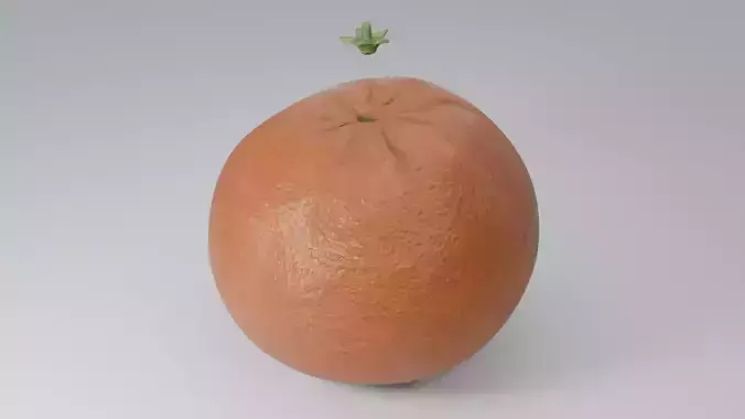 Realistic Orange Fruit Low-poly 3D model 5