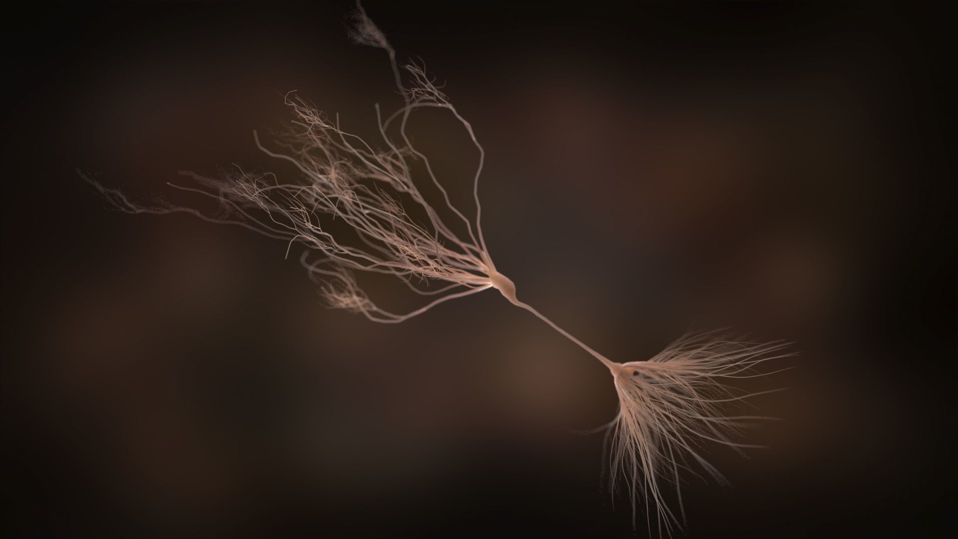 Ultra Realistic Neurons set of 9 unique variations  3D model_7