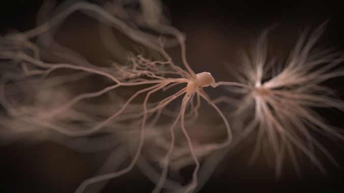 Ultra Realistic Neurons set of 9 unique variations  3D model