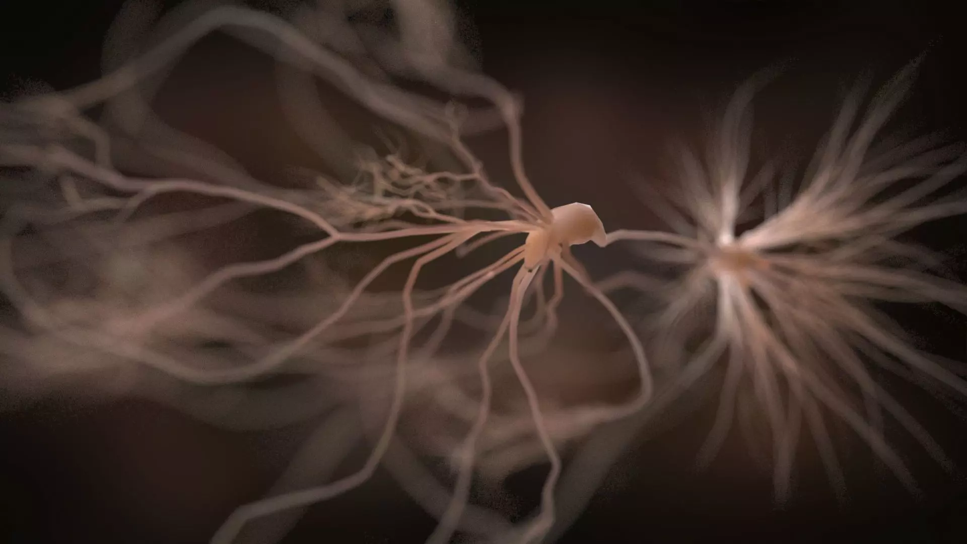 Ultra Realistic Neurons set of 9 unique variations  3D model_0