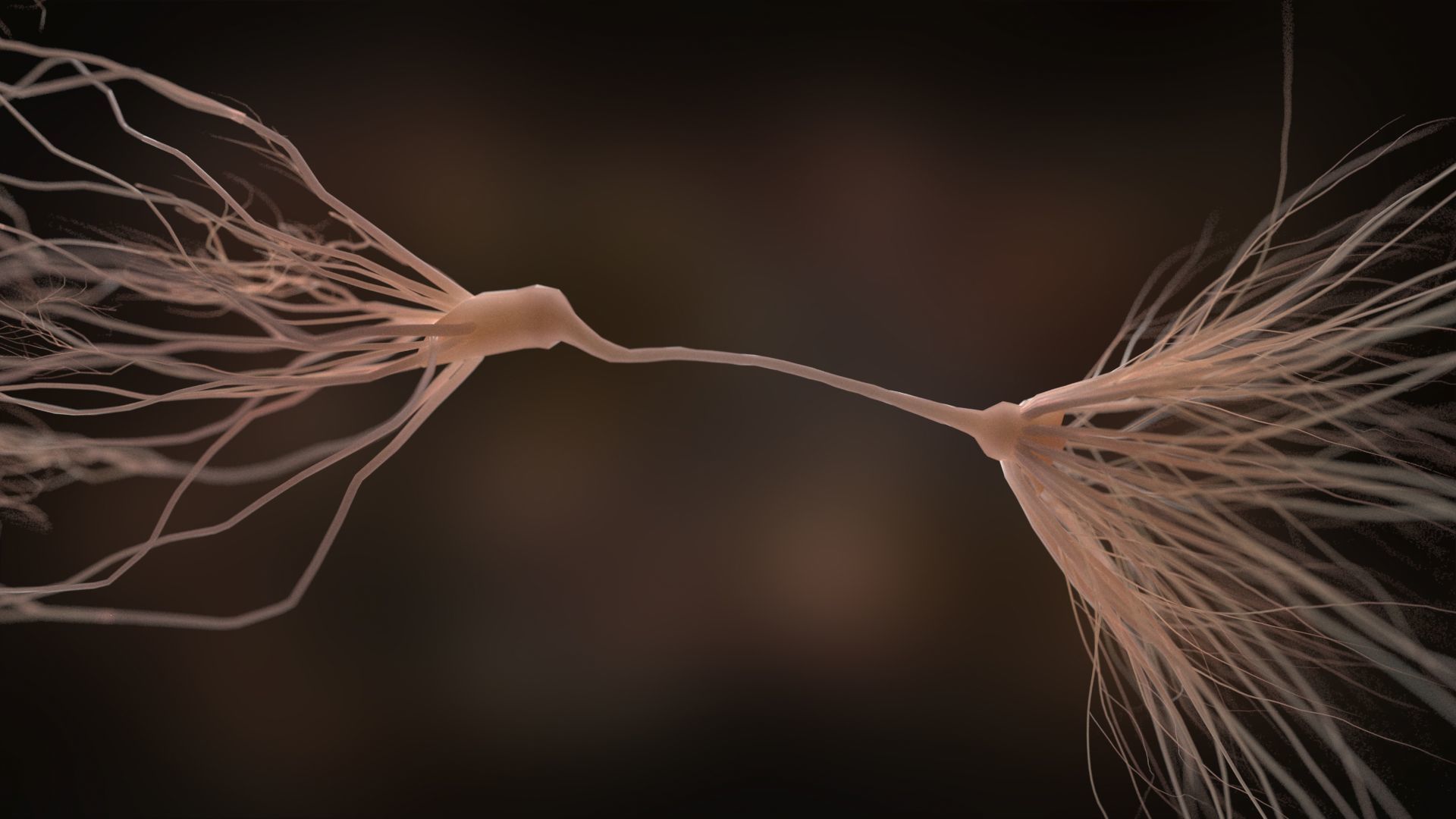 Ultra Realistic Neurons set of 9 unique variations  3D model_5