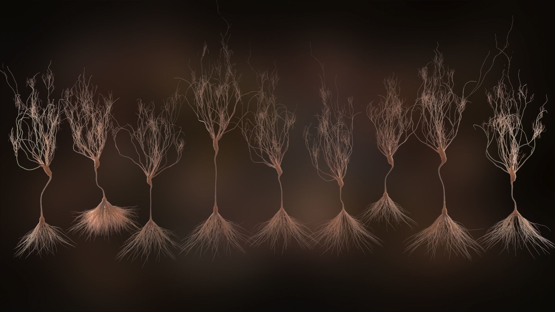 Ultra Realistic Neurons set of 9 unique variations  3D model_3