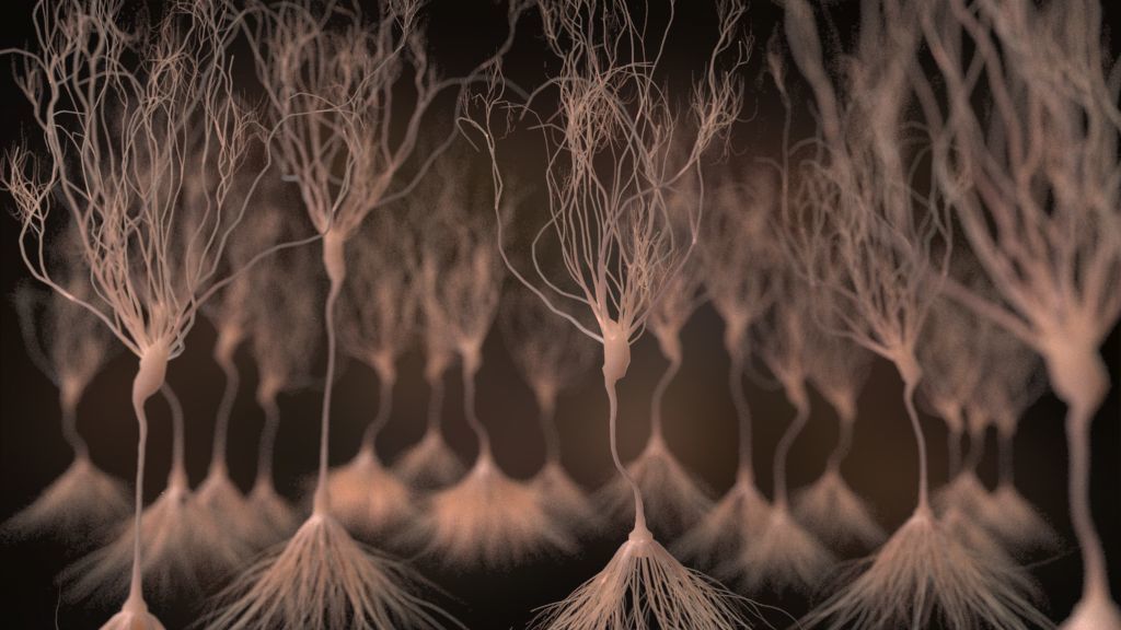 Ultra Realistic Neurons set of 9 unique variations  3D model_2