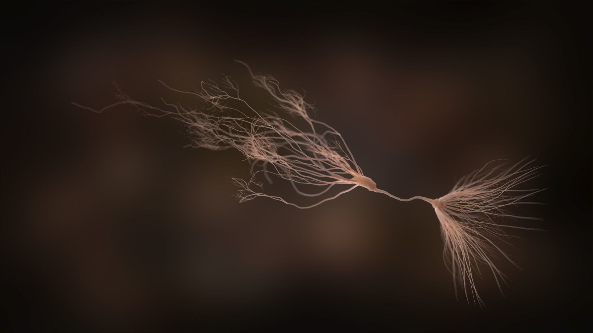 Ultra Realistic Neurons set of 9 unique variations  3D model_14