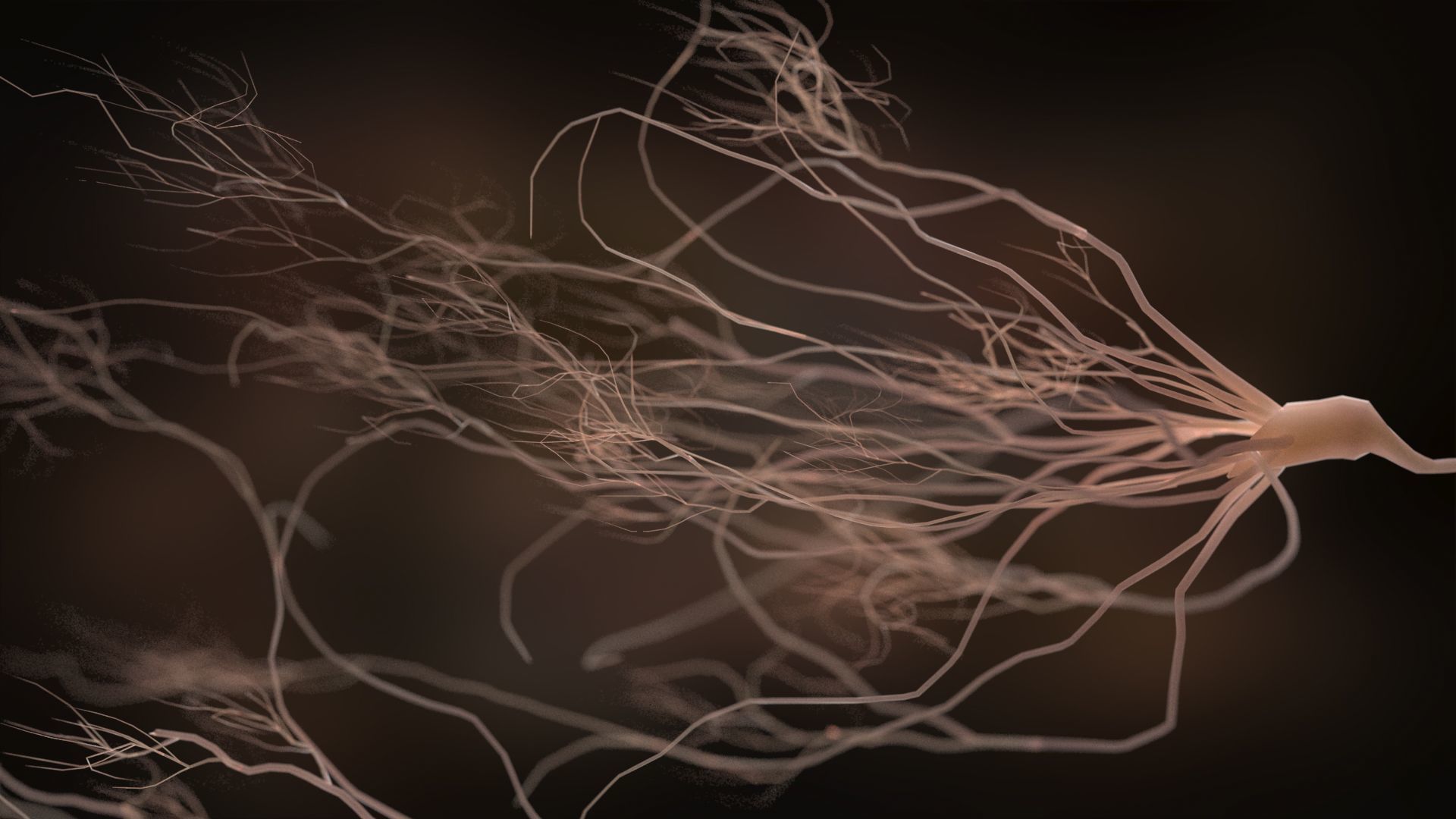 Ultra Realistic Neurons set of 9 unique variations  3D model_4