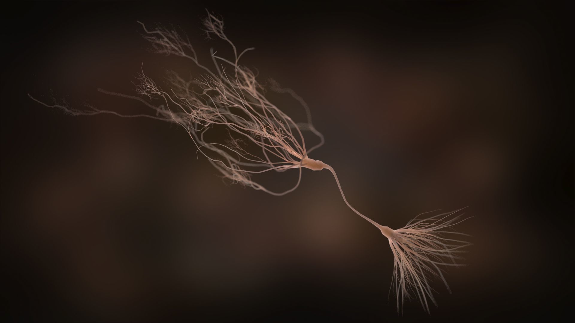 Ultra Realistic Neurons set of 9 unique variations  3D model_6