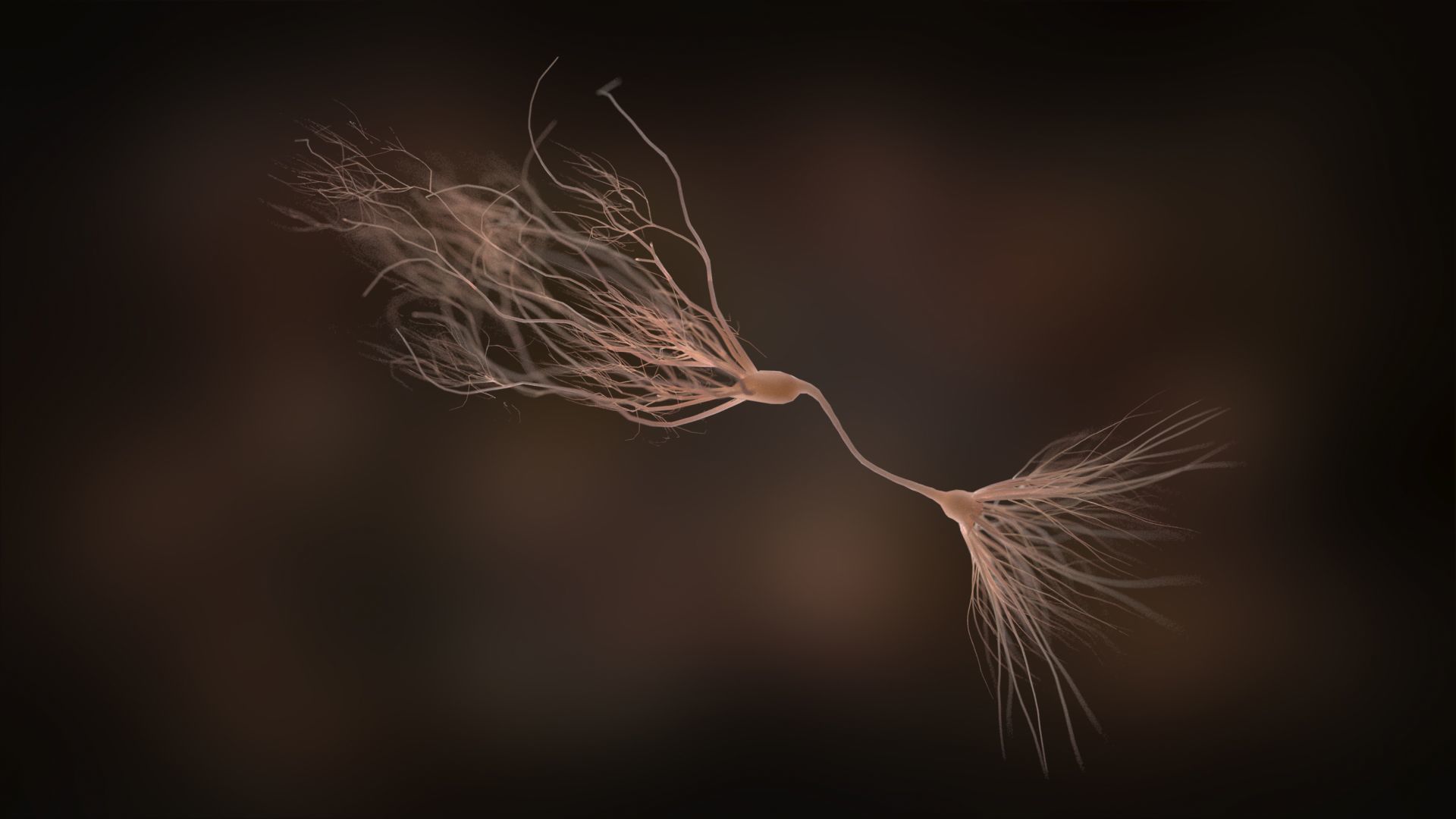 Ultra Realistic Neurons set of 9 unique variations  3D model_12