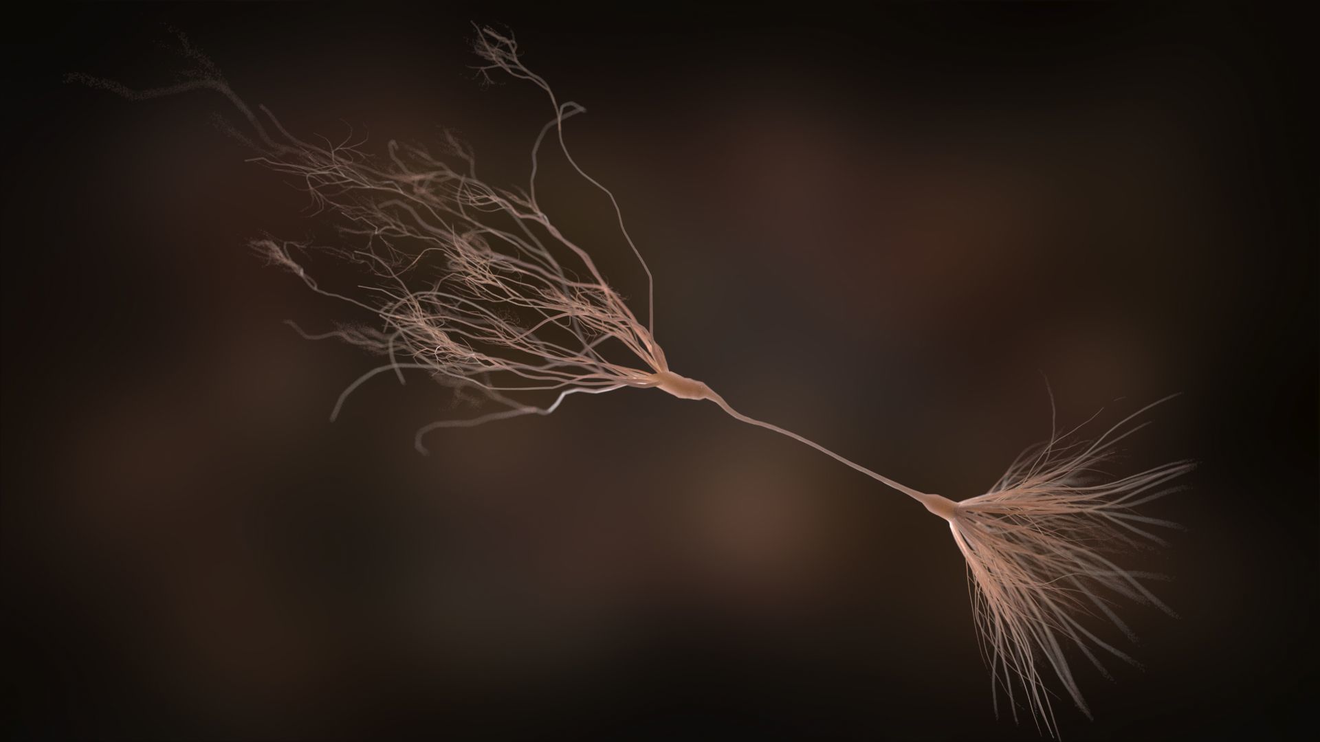 Ultra Realistic Neurons set of 9 unique variations  3D model_8