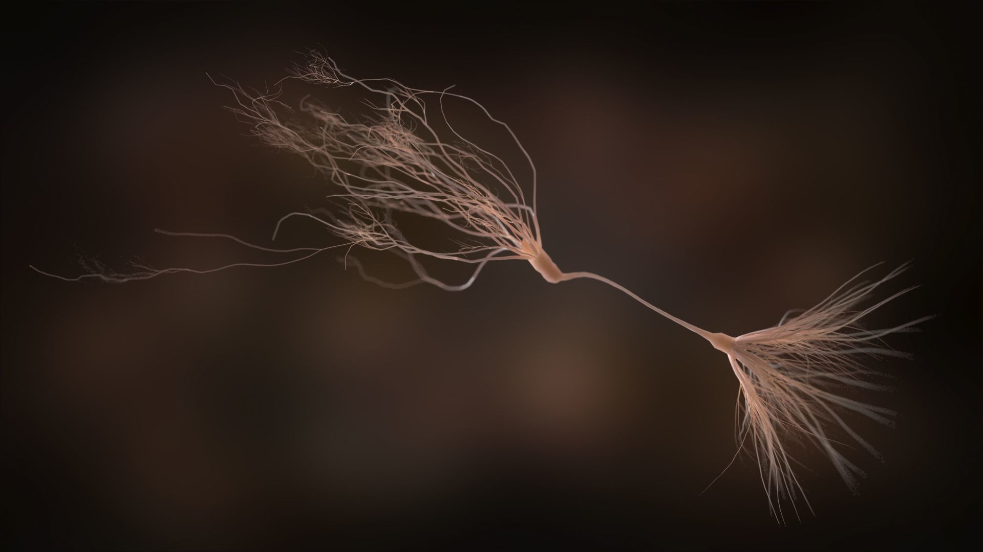 Ultra Realistic Neurons set of 9 unique variations  3D model_13
