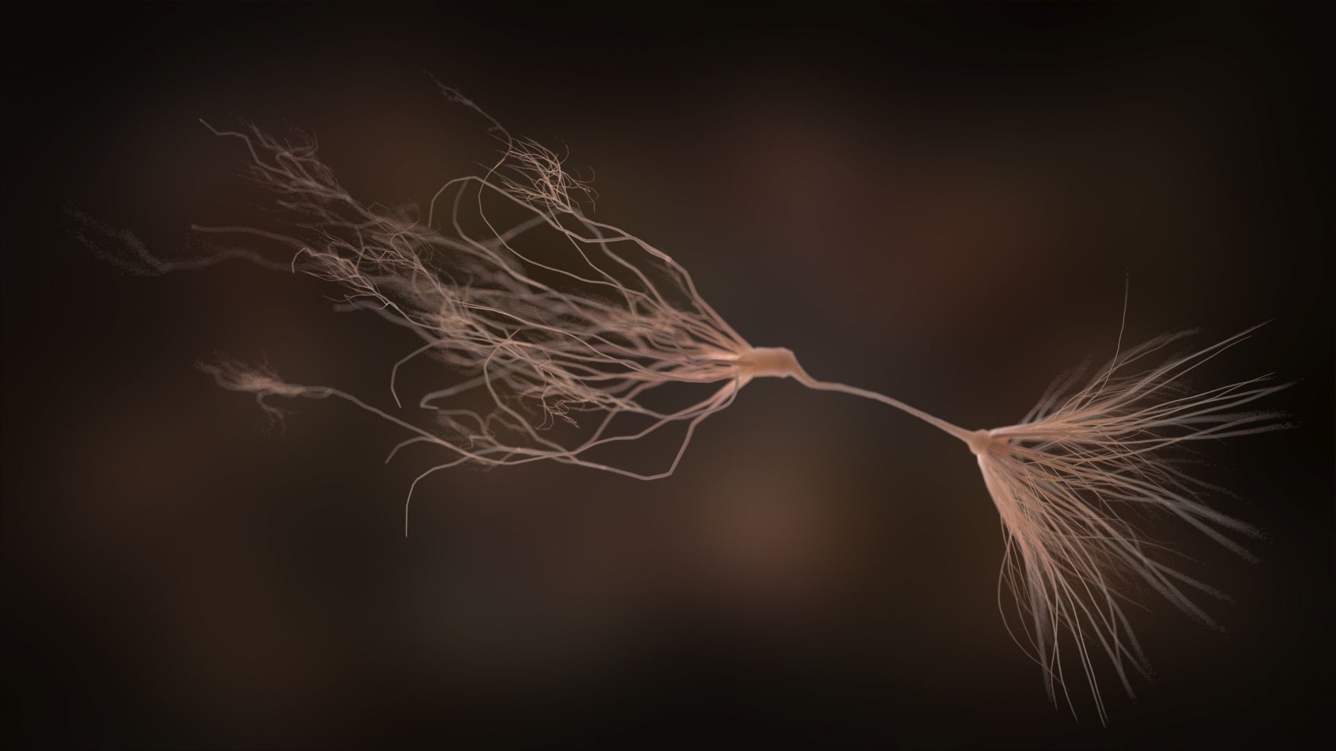Ultra Realistic Neurons set of 9 unique variations  3D model_10