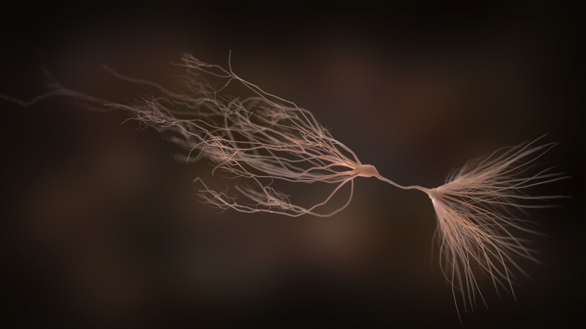 Ultra Realistic Neurons set of 9 unique variations  3D model_11