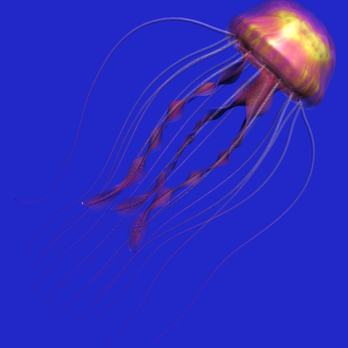 Jellyfish Rigged Low-poly 3D model_1