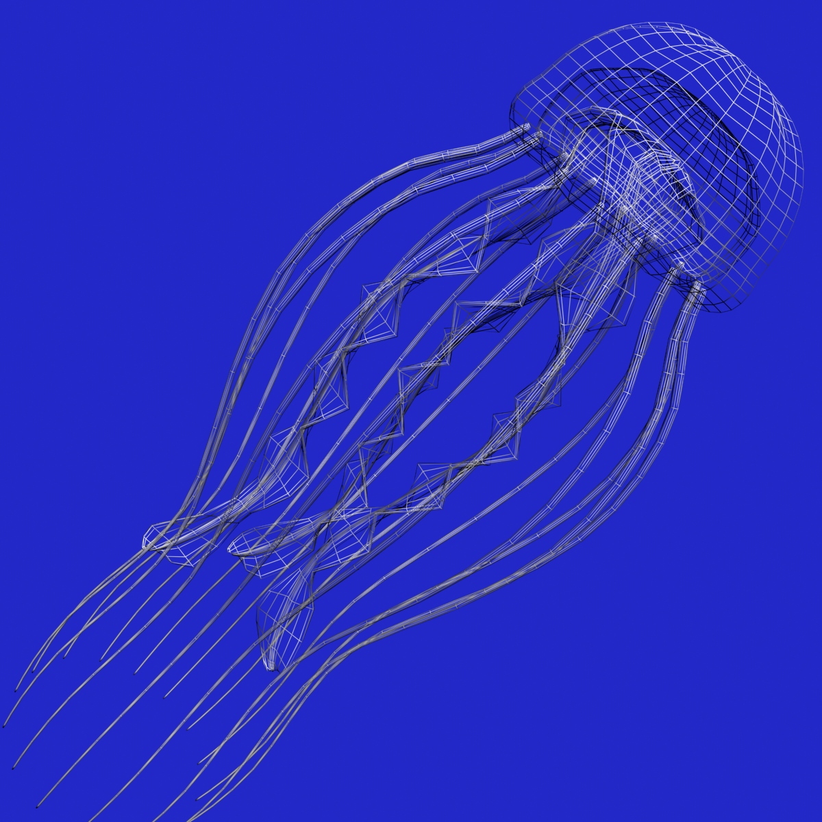 Jellyfish Rigged Low-poly 3D model_4