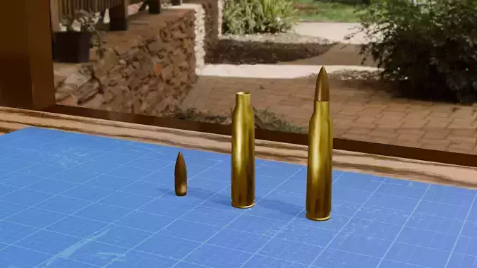 5 56mm NATO Precision Ammo Game Ready