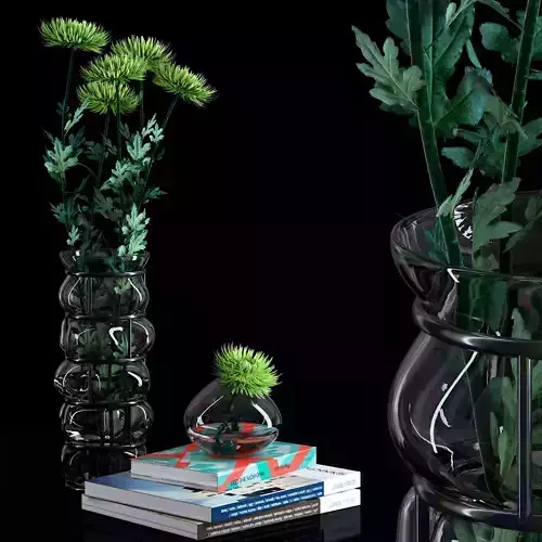 Green Spider Mom Asters Set