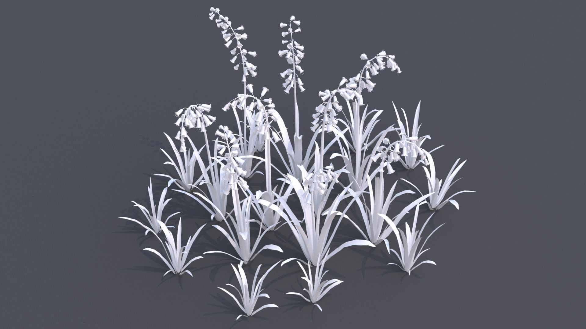 Bluebell bluebells 3D model_7