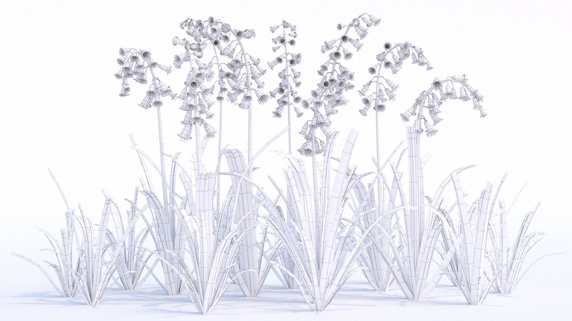 Bluebell bluebells 3D model_3