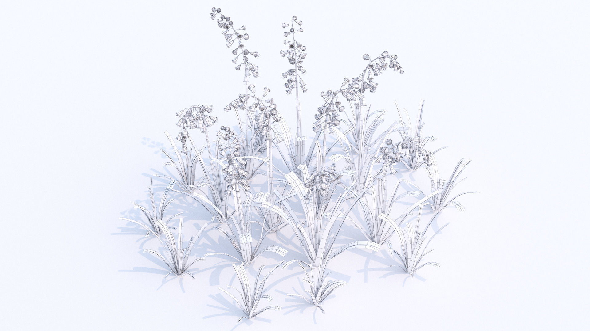 Bluebell bluebells 3D model_4