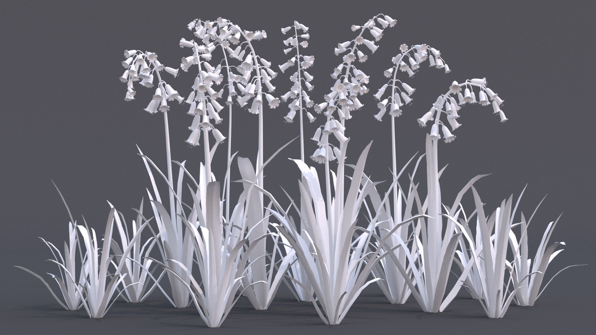 Bluebell bluebells 3D model_6