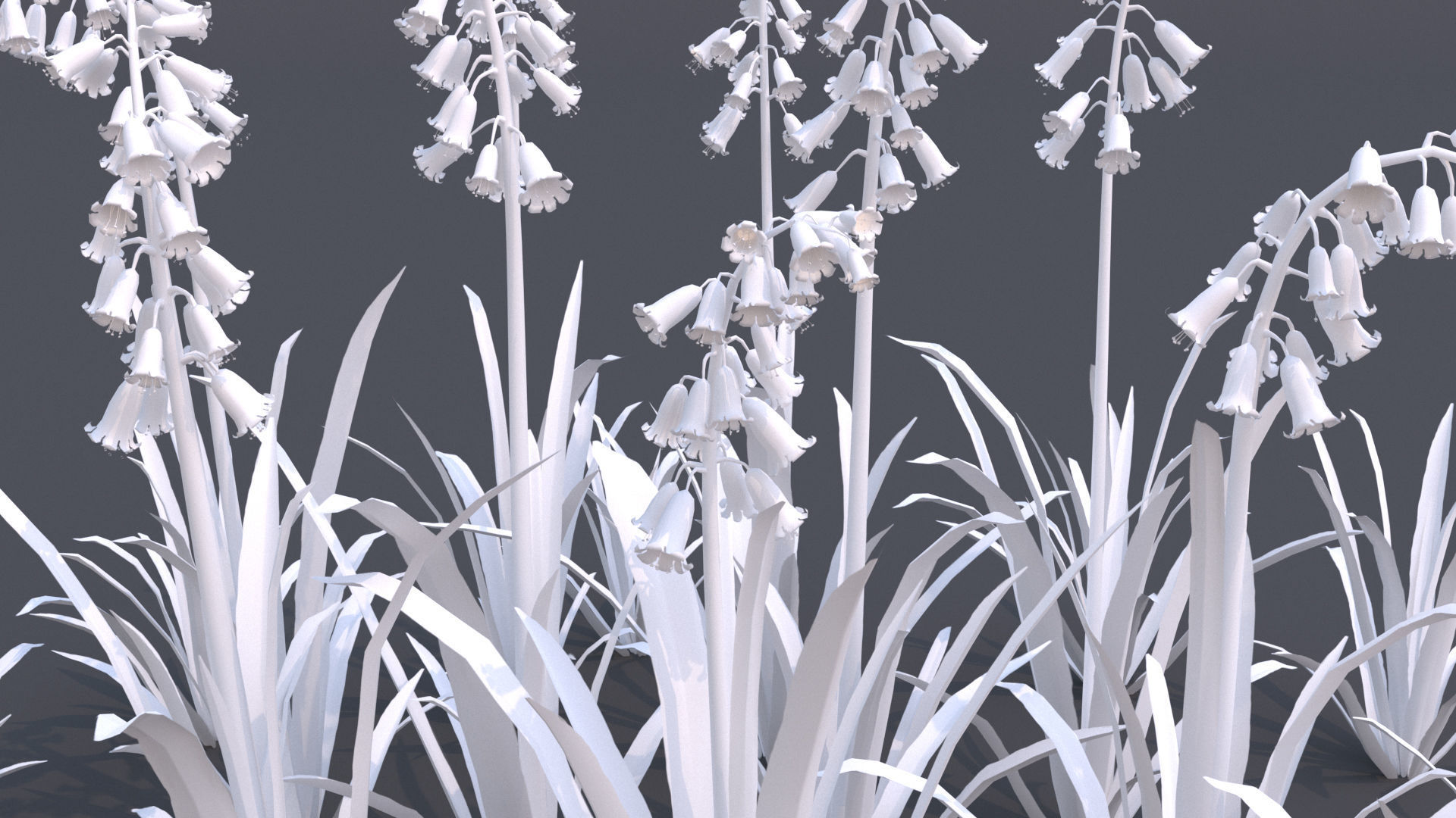 Bluebell bluebells 3D model_8