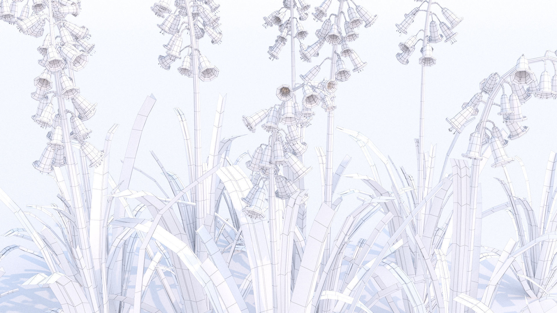 Bluebell bluebells 3D model_5