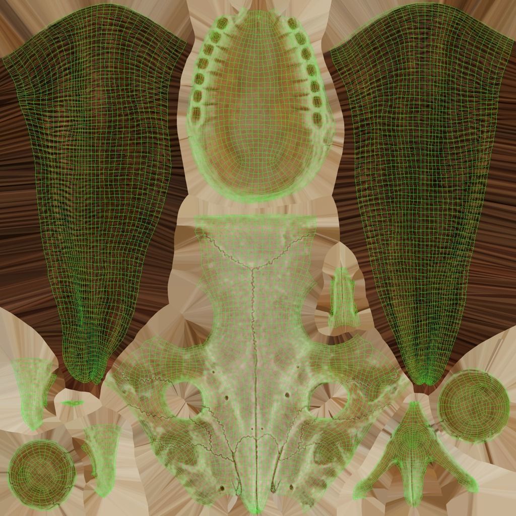 Bighorn Ram Skull PBR Low-poly 3D model_30