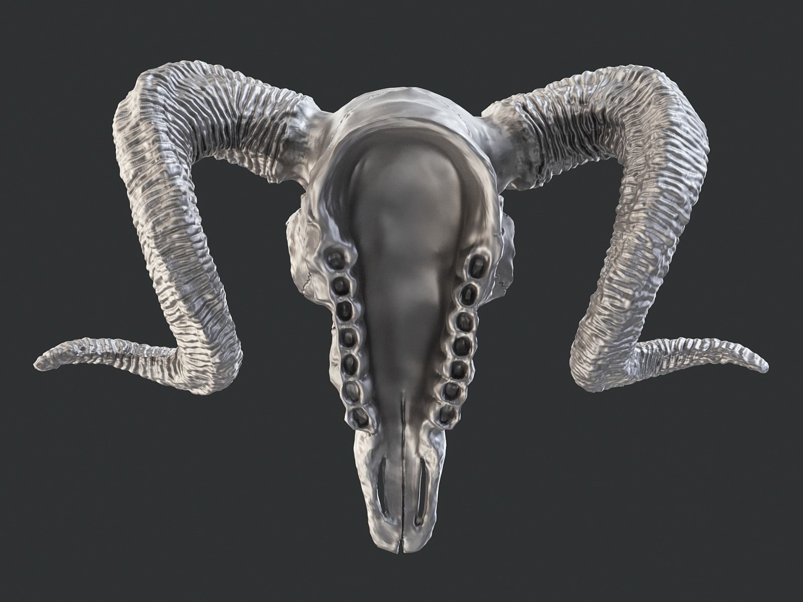 Bighorn Ram Skull PBR Low-poly 3D model_28