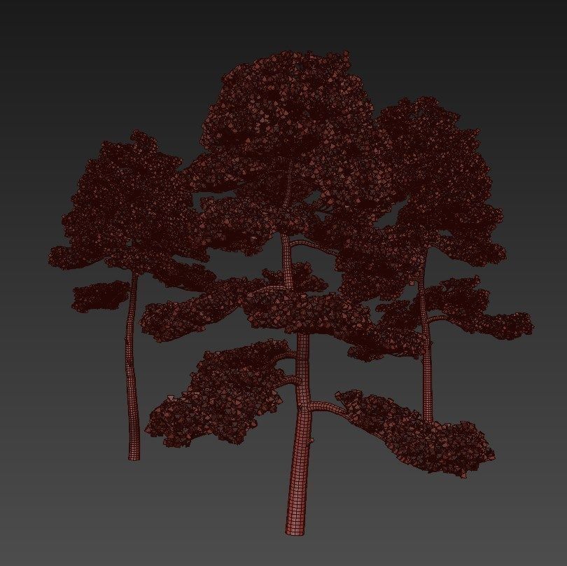 Pine - Set 3 tree 3D model_7