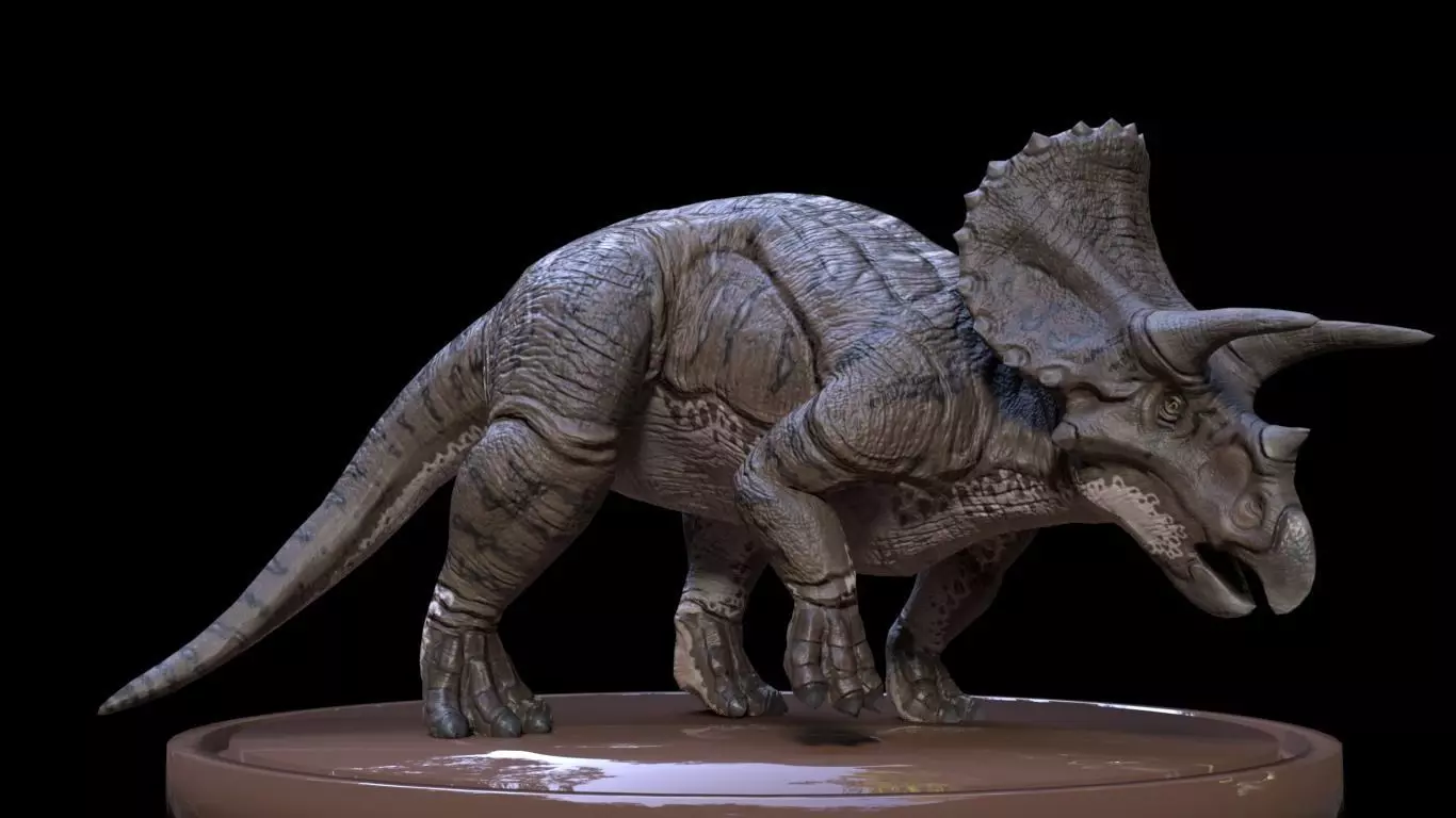 3D Triceratops dinosaur Low-poly 3D model_0