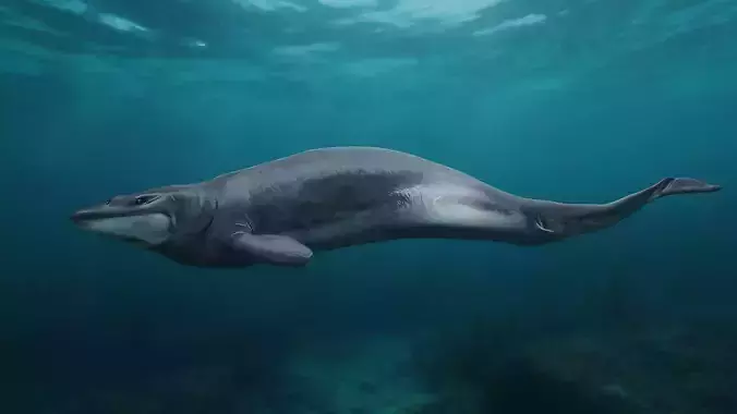 Scientifically accurate Basilosauridae model -  VFX Game