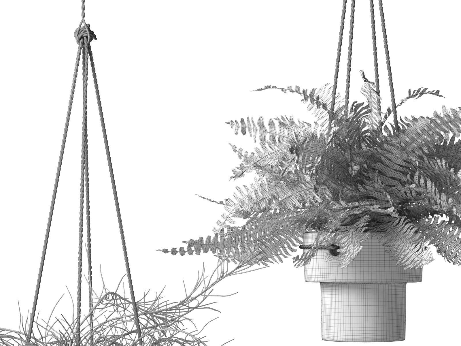 Hanging Pots with Plants 3D model_3