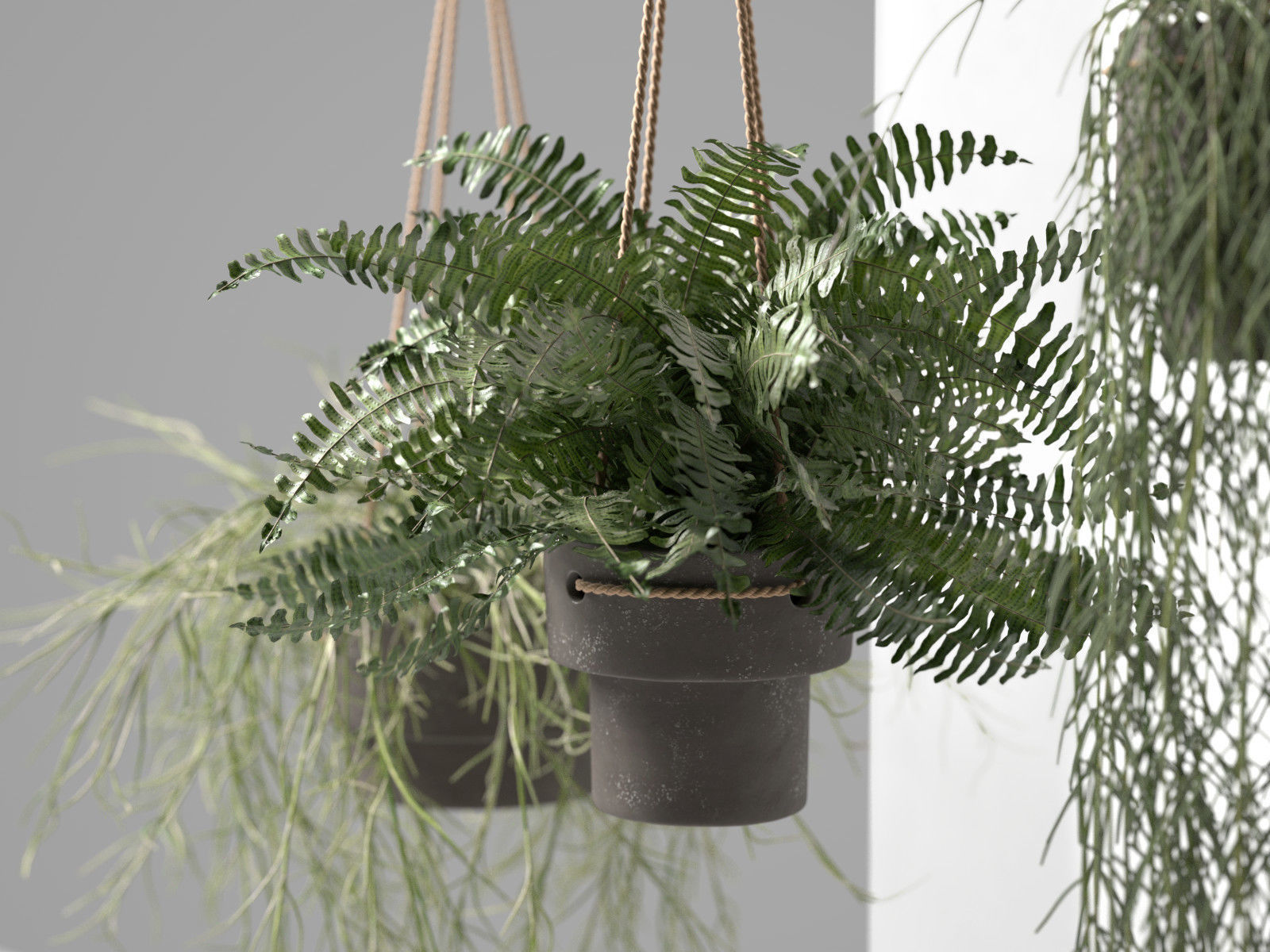 Hanging Pots with Plants 3D model_2