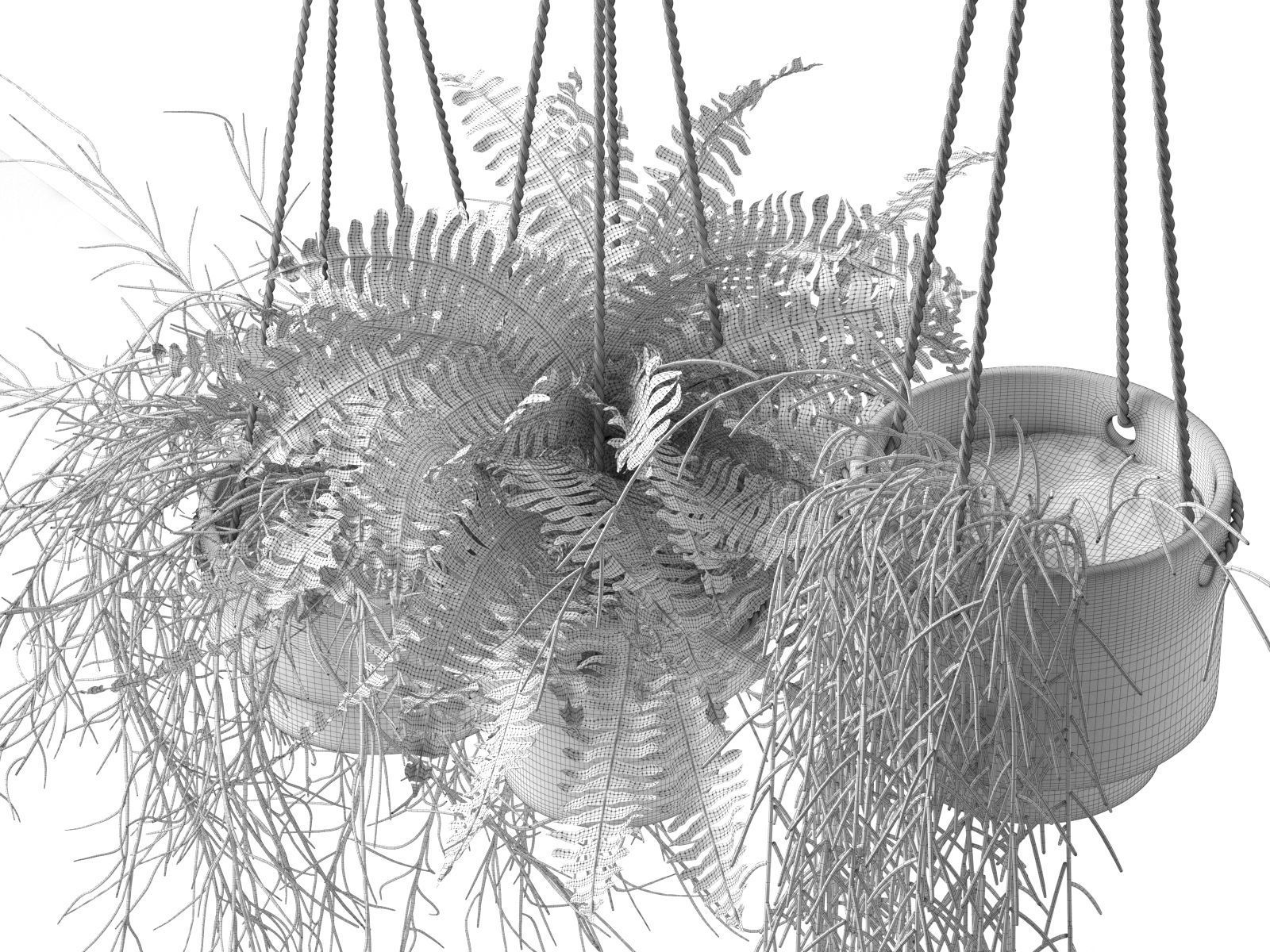 Hanging Pots with Plants 3D model_4