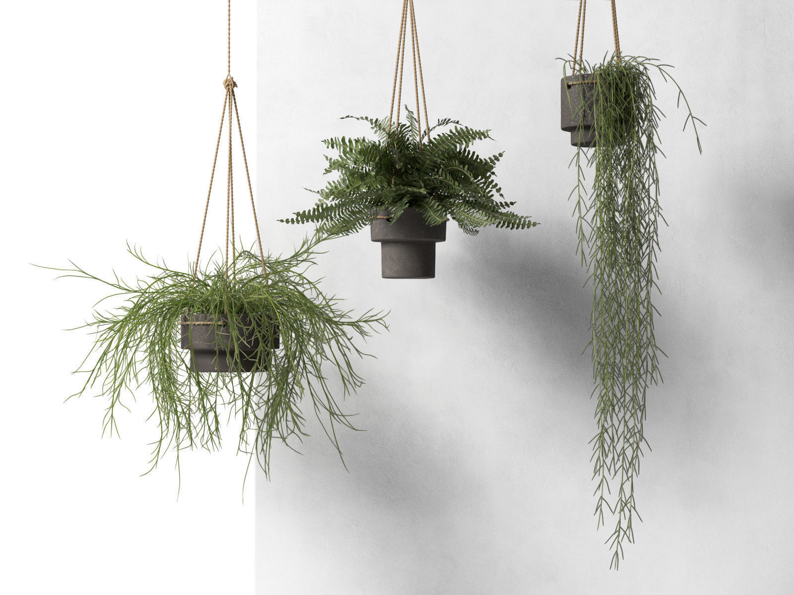 Hanging Pots with Plants 3D model_1