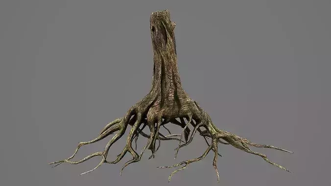 3D model Tree Roots V6 PBR VR / AR / low-poly | CGTrader