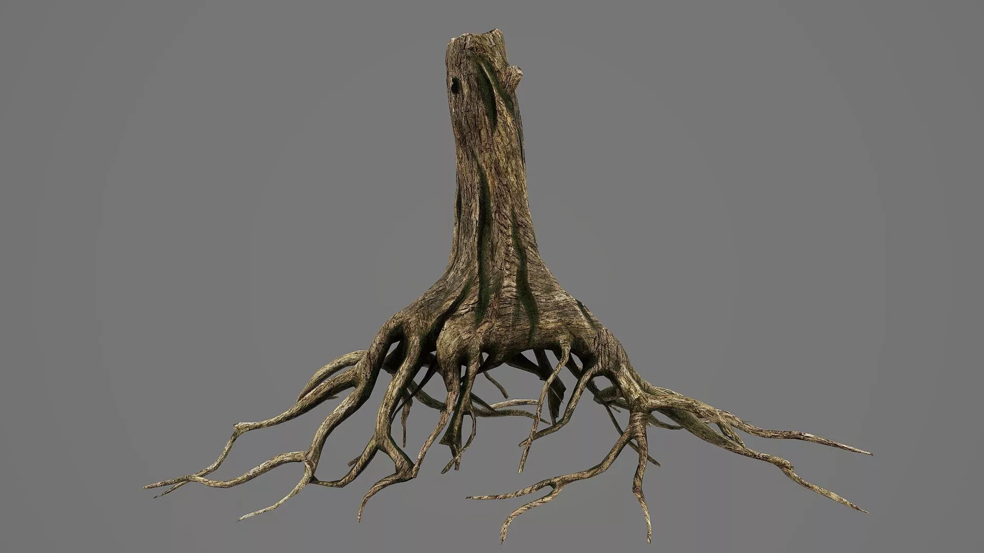 Tree Roots V8 PBR Low-poly 3D model