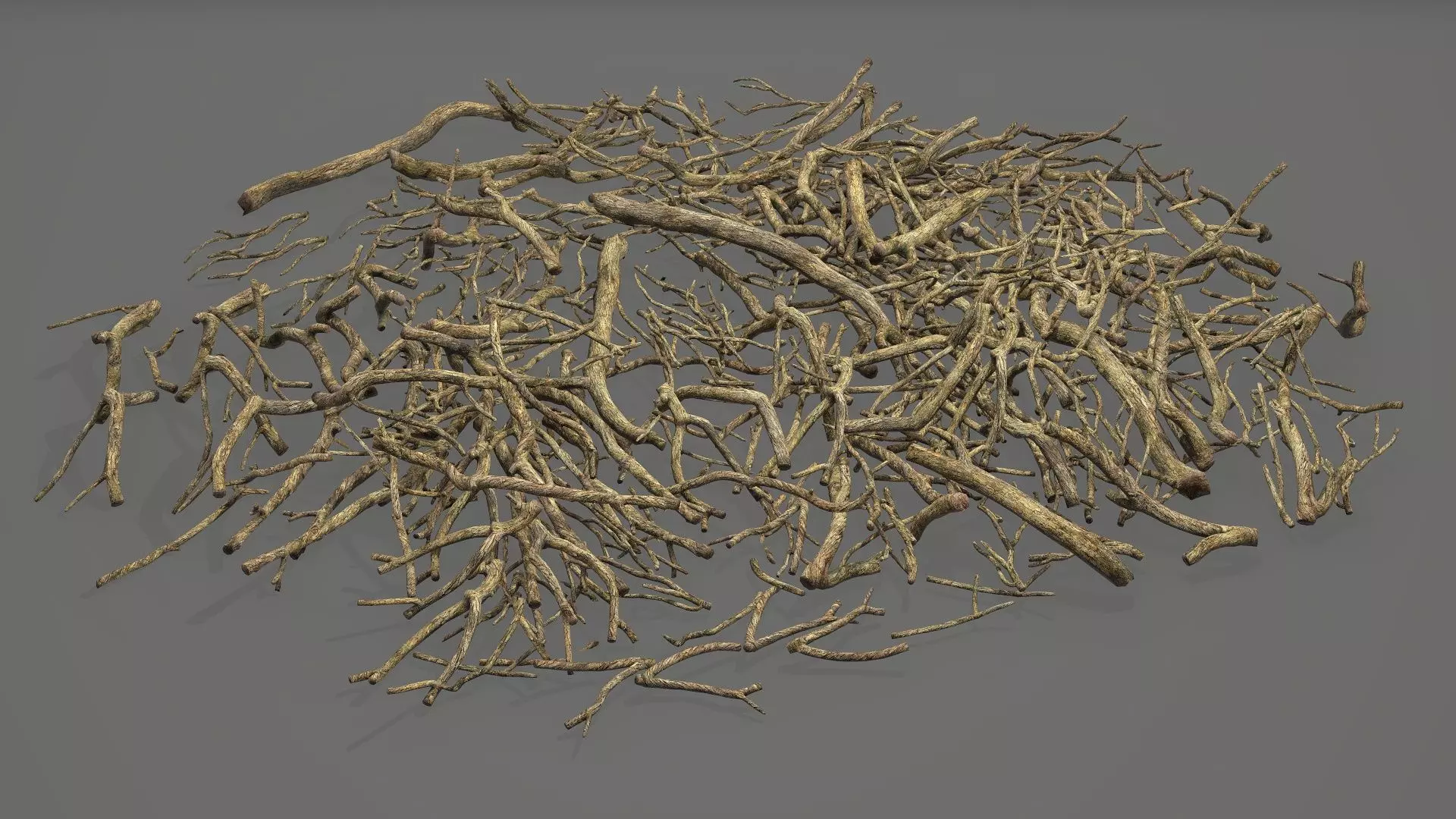 Twig V5 PBR Low-poly 3D model