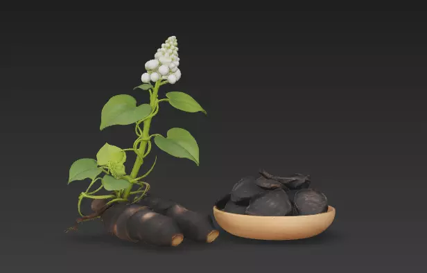 Identification of Herbal Medicine Polygonum Multiflorum 15 3D model