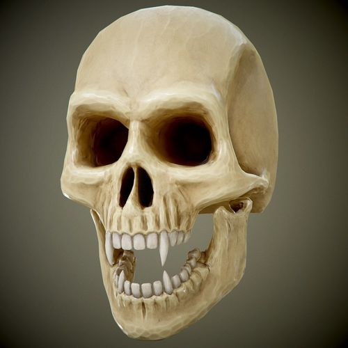 skull with fangs PBR Game-Ready Low-poly 3D model
