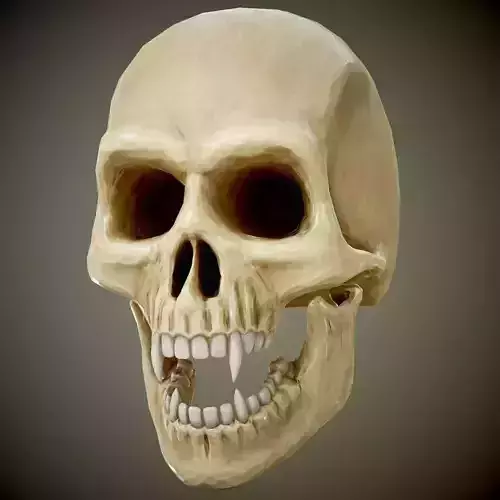 skull with fangs PBR Game-Ready Low-poly 3D model
