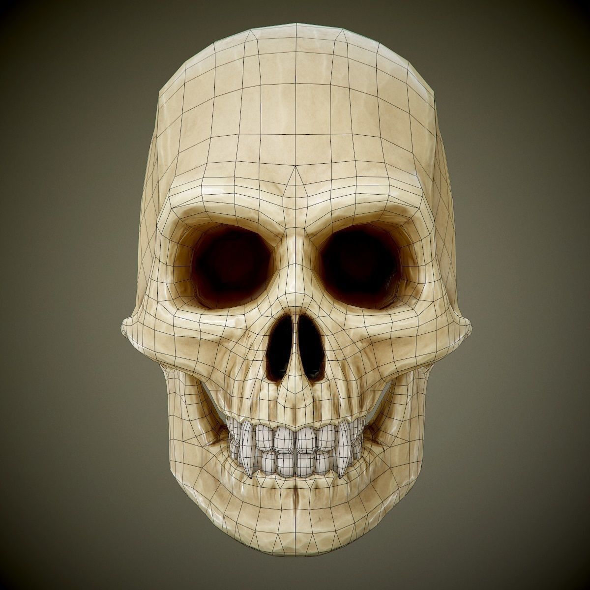 skull with fangs PBR Game-Ready Low-poly 3D model_2