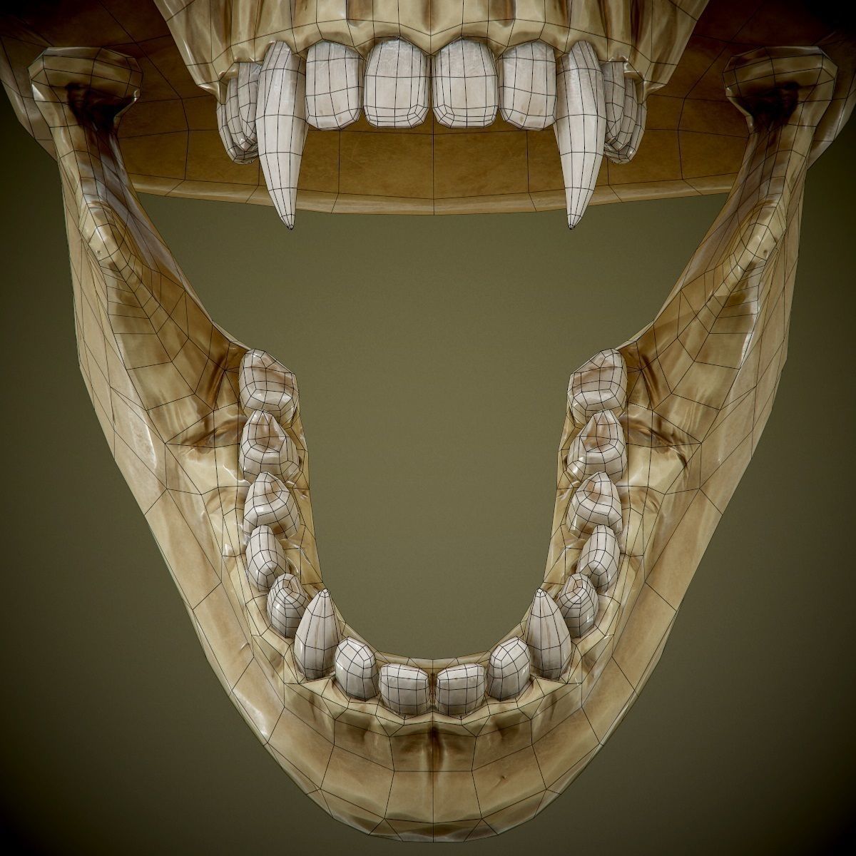 skull with fangs PBR Game-Ready Low-poly 3D model_6