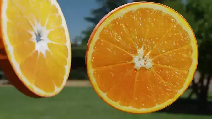 Fresh Organic Orange Halves - High Quality 