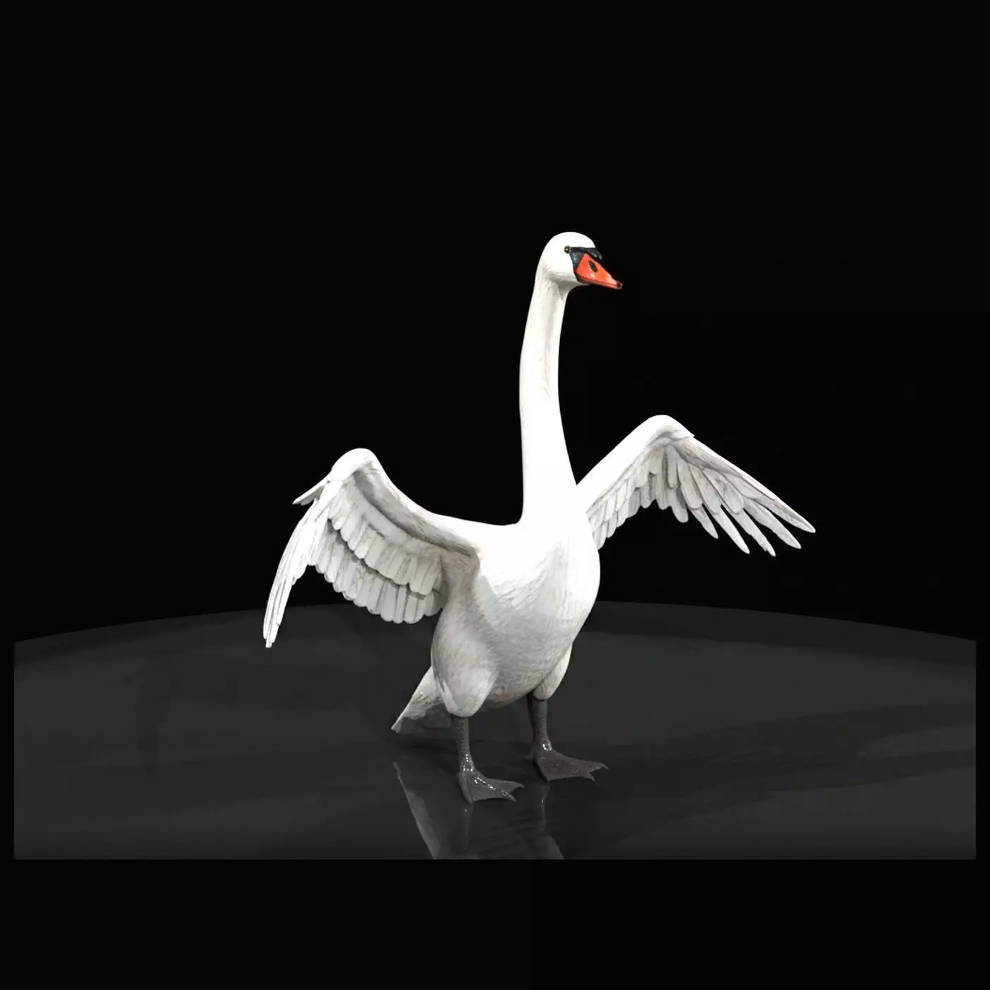1-87 Swan spreading with wings Print Ready STL 3D print model