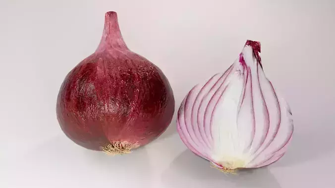 Photorealistic Red Onion 3D Model Cut Vegetable Food Asset Low-poly 3D model 2