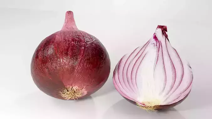 Photorealistic Red Onion 3D Model Cut Vegetable Food Asset Low-poly 3D model 4