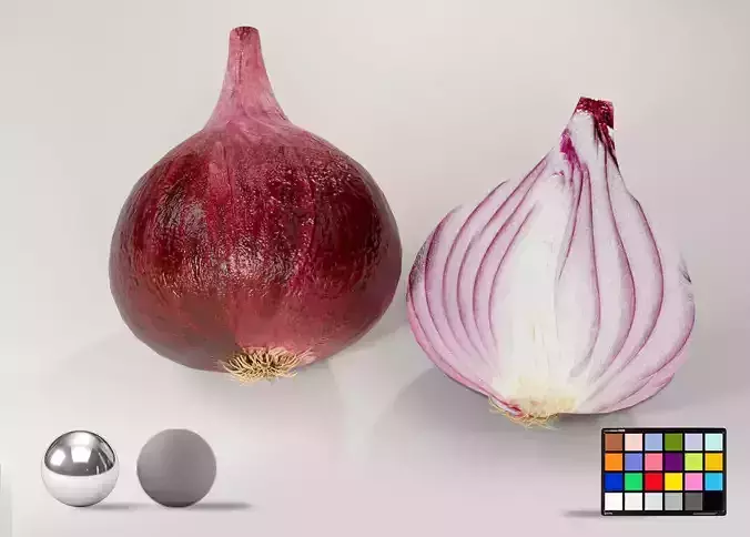 Photorealistic Red Onion 3D Model Cut Vegetable Food Asset Low-poly 3D model