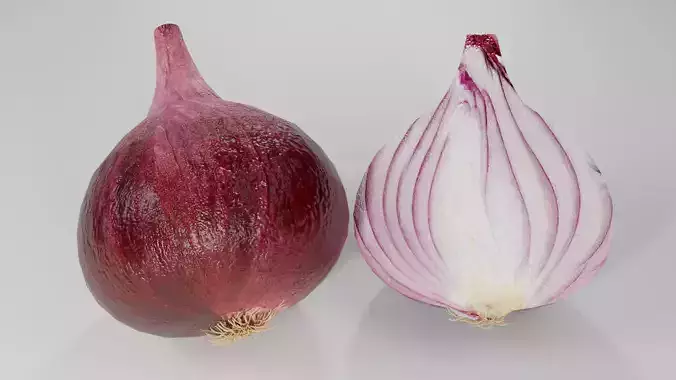 Photorealistic Red Onion 3D Model Cut Vegetable Food Asset Low-poly 3D model 5